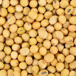 Soybeans buy on the wholesale