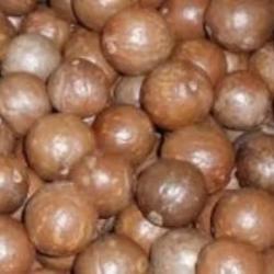 Organic Macadamia Nuts Kernels