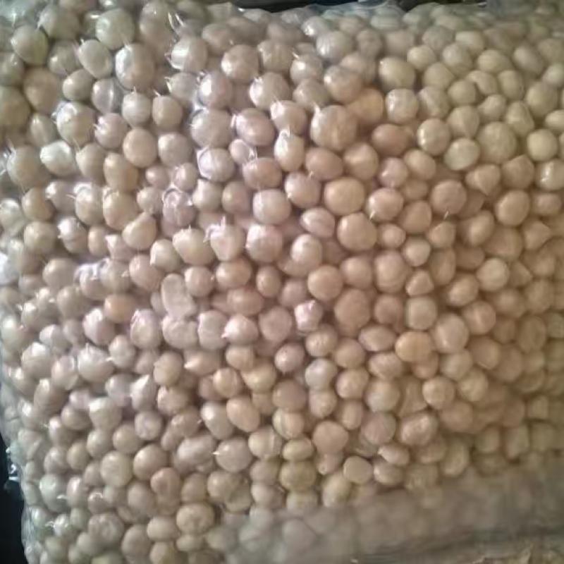 Organic Macadamia Nuts Kernels buy wholesale - company Eclatic Twenty Thirty Kenya Limited | Kenya