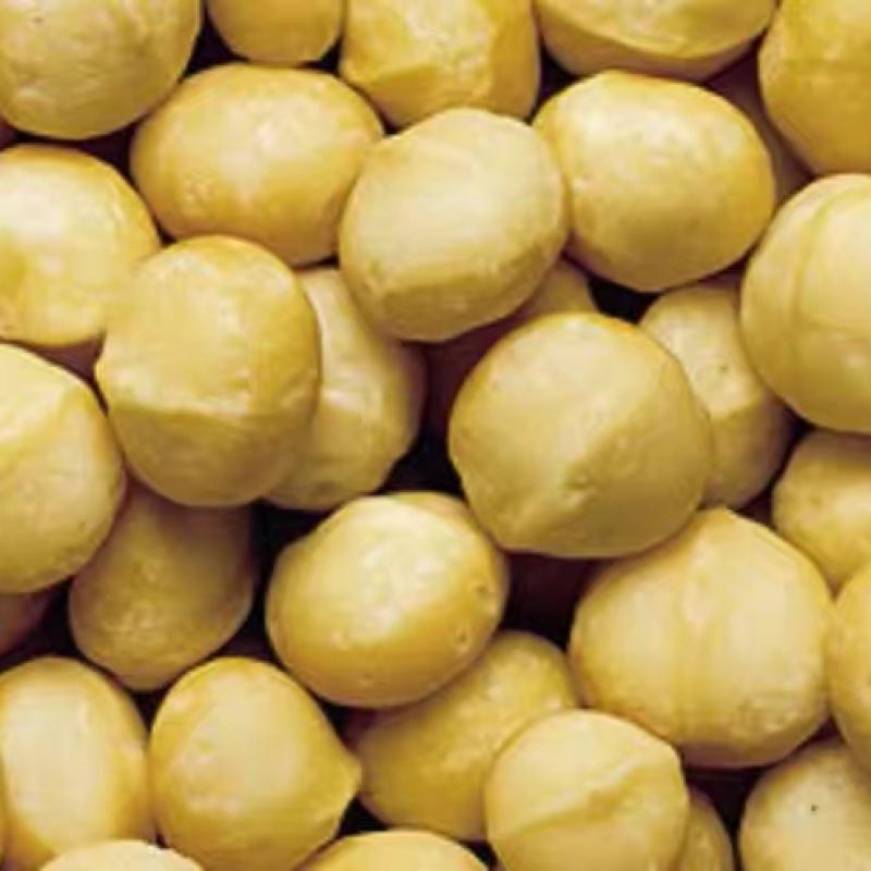 Organic Macadamia Nuts Kernels buy wholesale - company Eclatic Twenty Thirty Kenya Limited | Kenya