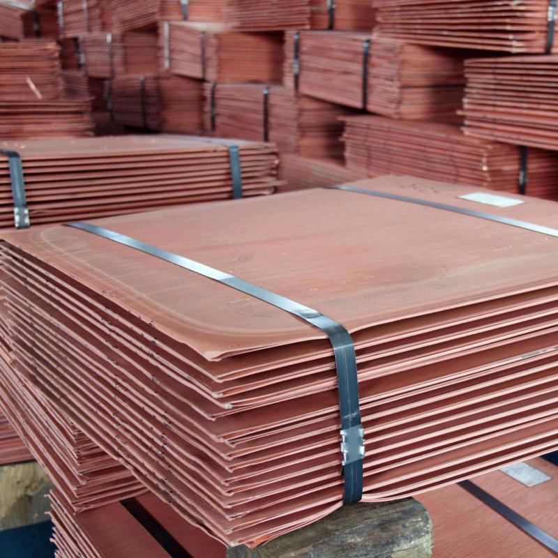 Copper Cathode buy wholesale - company Rinaaz Exports & Trading co. | India