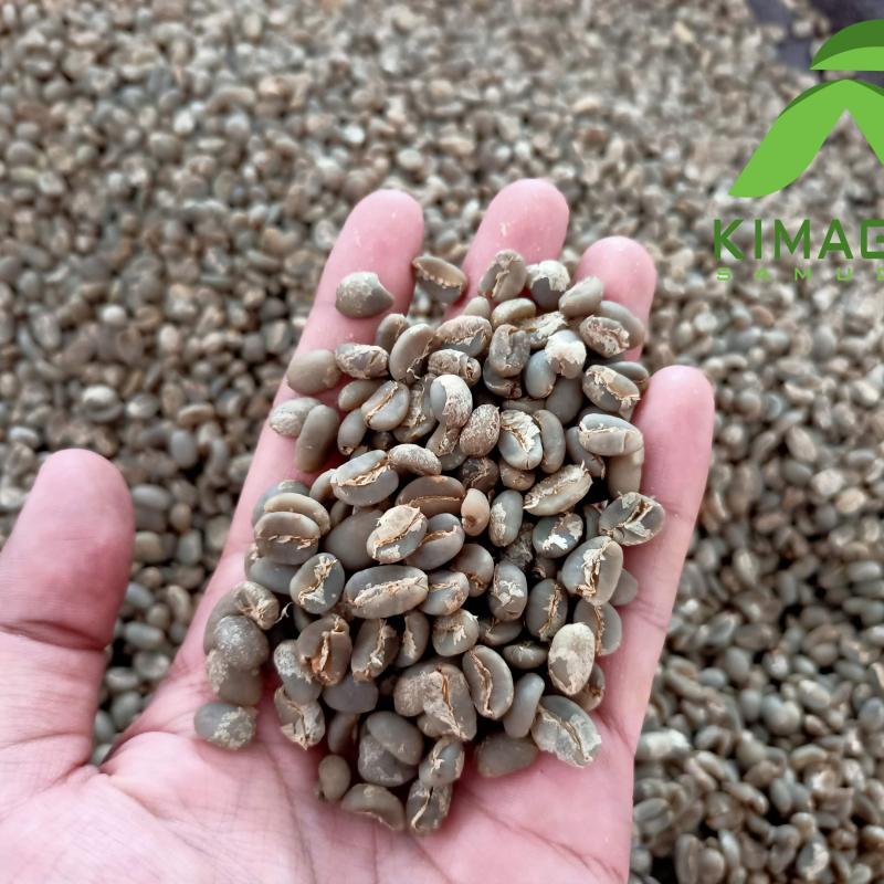 Кофе Арабика в зернах Суматра Гайо  купить оптом - компания kimagro samudra | Индонезия
