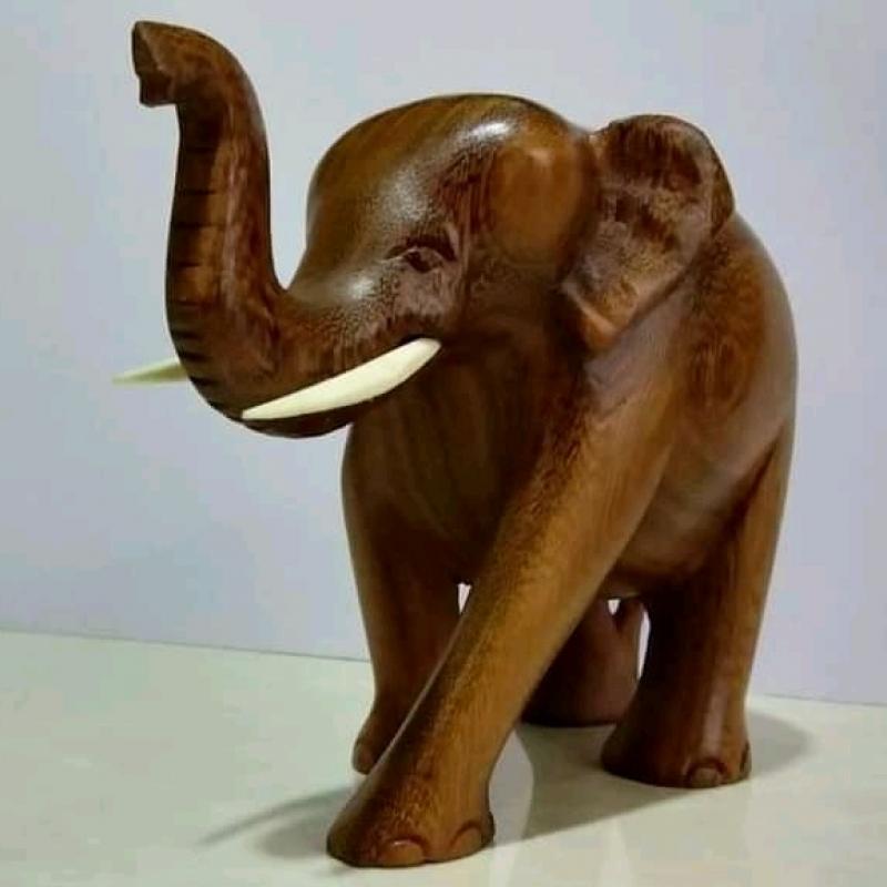 Wooden Carved Elephants buy wholesale - company Jps ceylon lanka | Sri Lanka