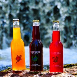 Vildsoda Swedish Berry Sodas buy on the wholesale
