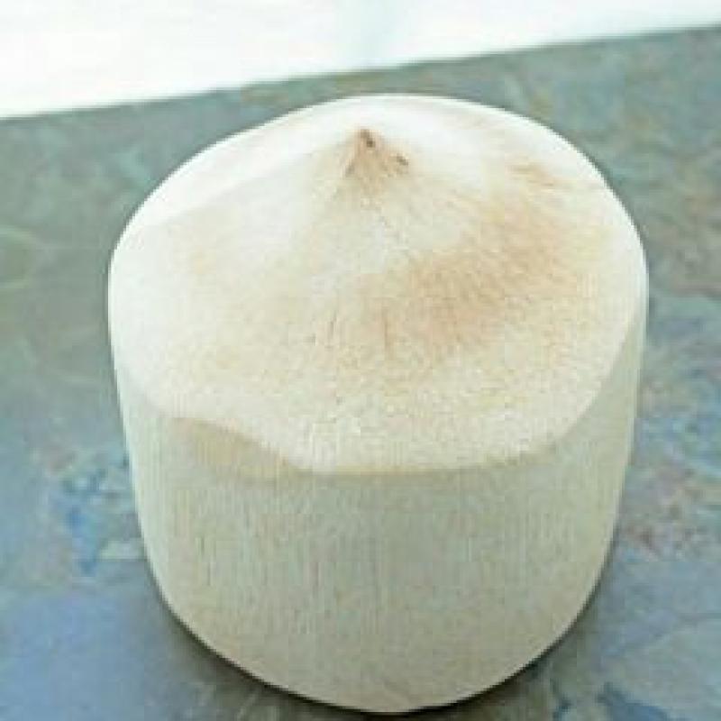 Зеленые кокосы / полуочищенные кокосы купить оптом - компания Parth Exports | Индия