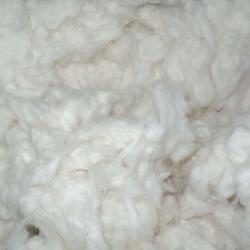 Cotton Comber Noil 