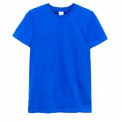 Men's T-Shirt 53 BT 0715 