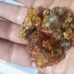 Commiphora Myrrh (Yemen) buy on the wholesale