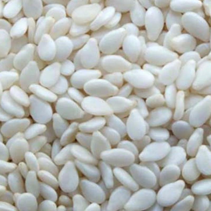 Семена эфиопского кунжута купить оптом - компания Spark commodity manufacturing and logistic trading PLC | Эфиопия