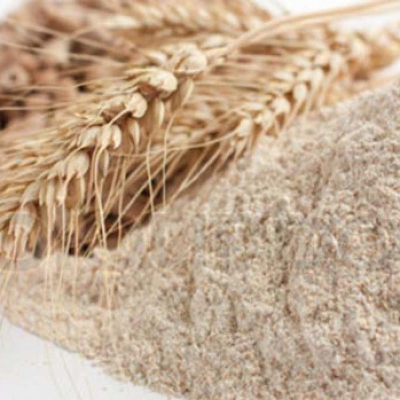 Пшеничная мука купить оптом - компания Rilons India | Индия