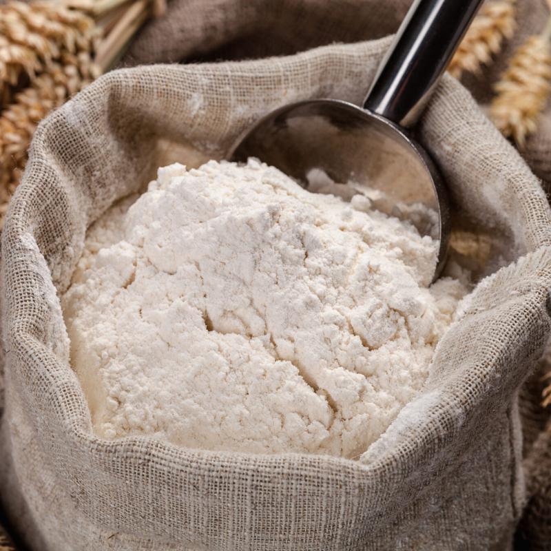 Wheat Flour buy wholesale - company Dhruva International | India