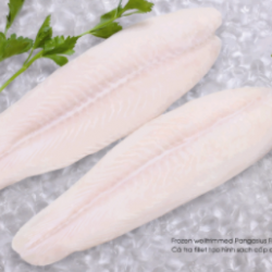 Pangasius Fillet buy on the wholesale