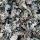 Black Stone Flower (Kalpasi) buy wholesale - company Blazing coal Nigeria Ltd | Nigeria
