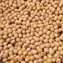 Soybeans buy on the wholesale