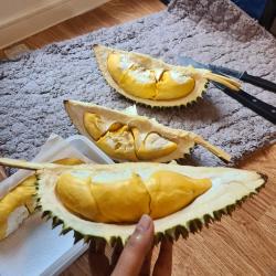 Fresh Durian buy on the wholesale