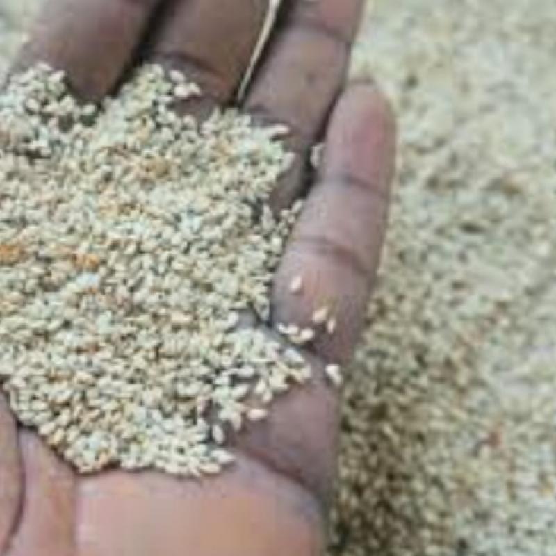 Семена кунжута купить оптом - компания Ask4zee trading | Нигерия