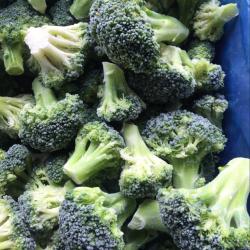 Frozen Broccoli buy on the wholesale