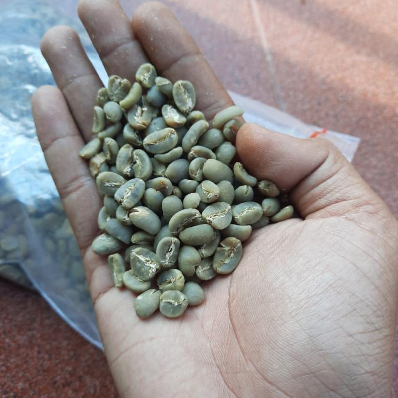 Кофе Арабика в зернах купить оптом - компания Indotama Global Ekspor | Индонезия