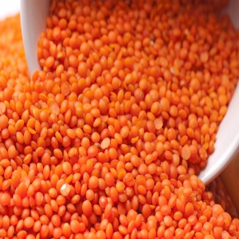 Red Lentils buy wholesale - company Alpha mega supyly group | South Africa