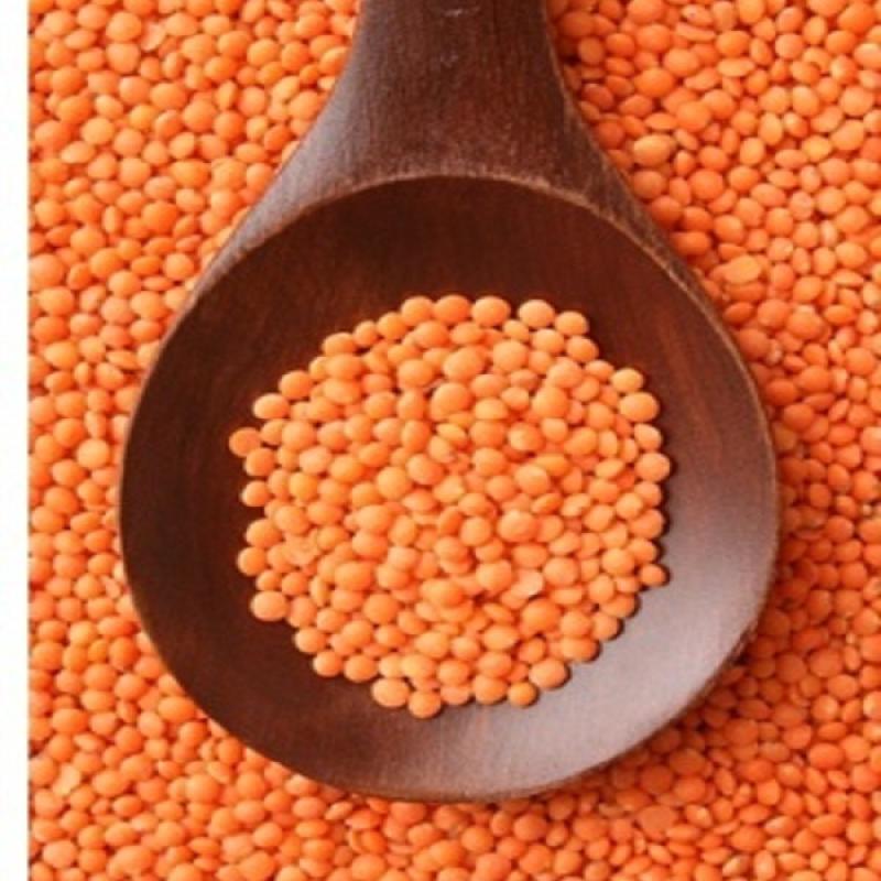Red Lentils buy wholesale - company Alpha mega supyly group | South Africa