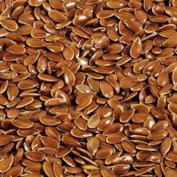 Flax Seeds buy on the wholesale