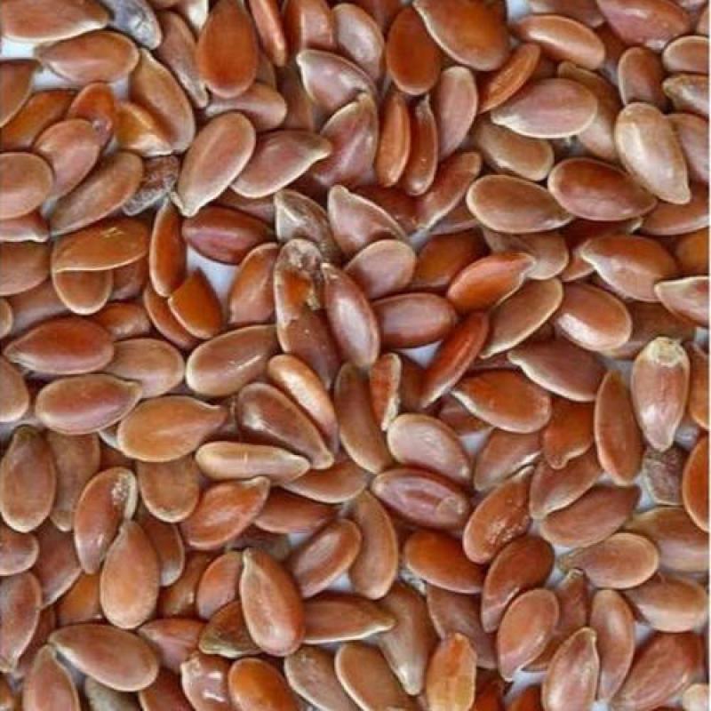 Flax Seeds buy wholesale - company Alpha mega supyly group | South Africa