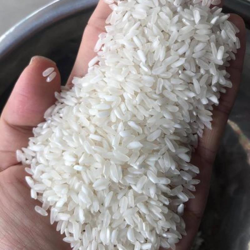 ST24/ST25 Rice buy wholesale - company PHU MINH Technology Investment and Devel | Vietnam