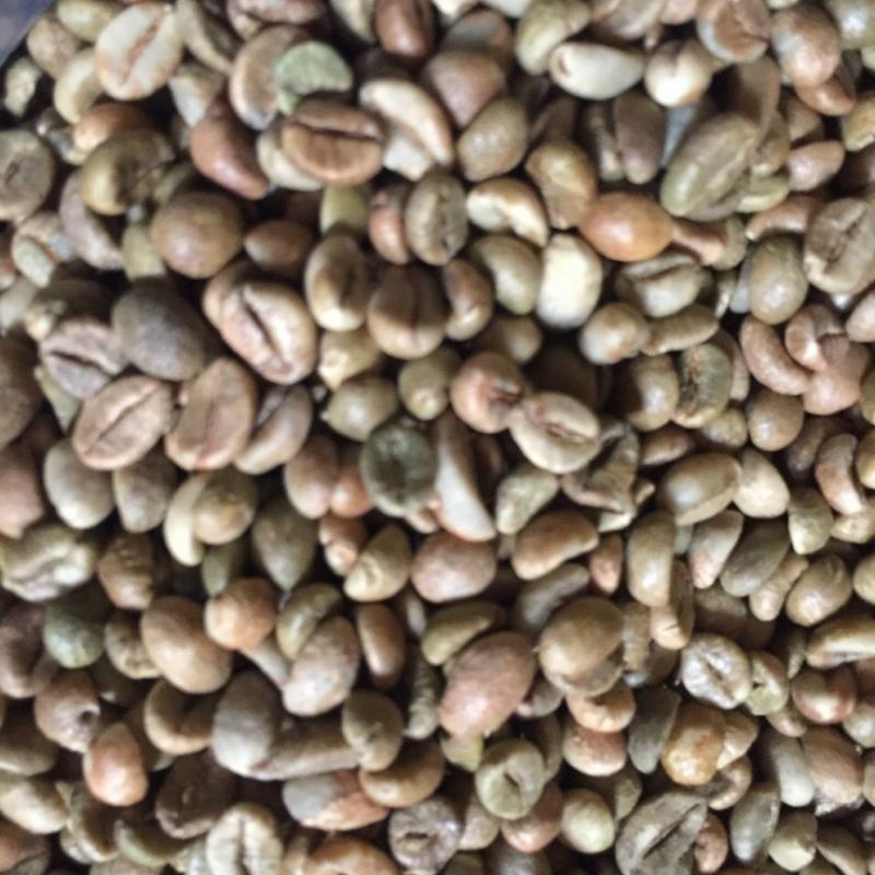 Кофе Робуста в зернах купить оптом - компания PHU MINH Technology Investment and Devel | Вьетнам