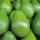 Fuerte Avocado buy wholesale - company Lezora Business Associates | Uganda