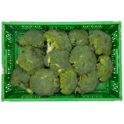 Broccoli buy on the wholesale