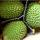 Свежие тропические фрукты купить оптом - компания Minhchauimex | Вьетнам