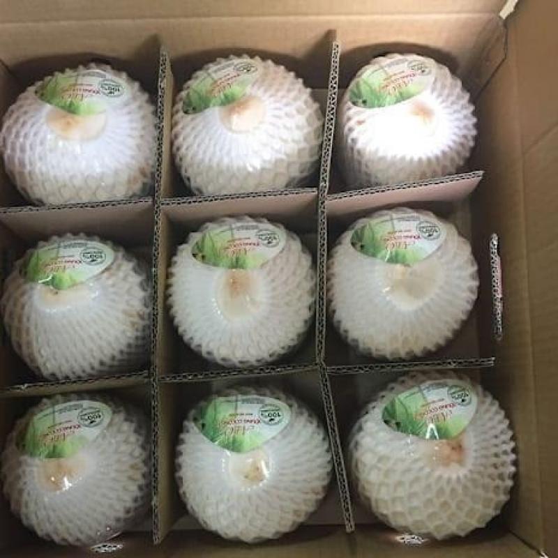 Свежие кокосы купить оптом - компания Minhchauimex | Вьетнам