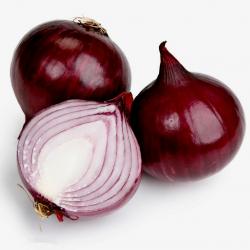 Onions  buy on the wholesale