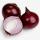 Onions  buy wholesale - company UNIS LAP AGRO EXPORT PVT LTD | India