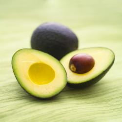 Fresh Avocados  buy on the wholesale