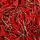 Red Chilli buy wholesale - company ROYAL FINE INTERNATIONAL | India