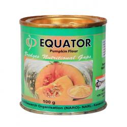 Equator Pumpkin Flour  buy on the wholesale