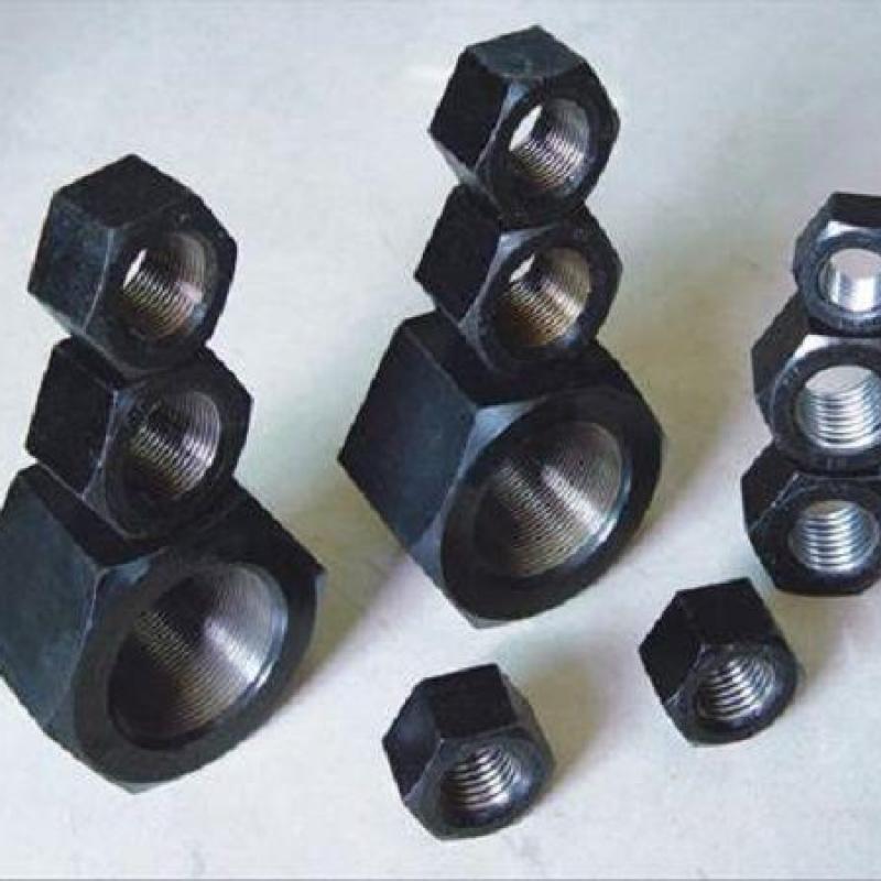 Carbon Steel Hex Nuts buy wholesale - company Shandong Sun High Rising Trade Co.,Ltd | China