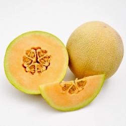Melons buy on the wholesale