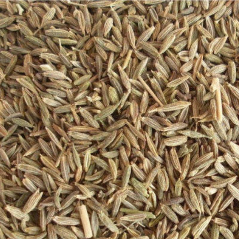 Семена коричневого тмина  купить оптом - компания AGUR Agro Sells Pvt. Ltd. | Индия