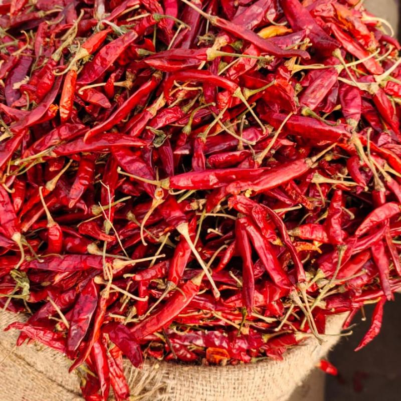 Dried Red Chili Peper buy wholesale - company AGUR Agro Sells Pvt. Ltd. | India