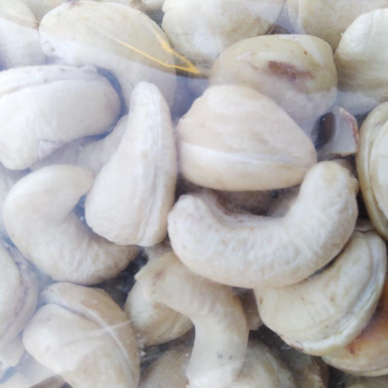 Raw Cashew Nuts buy wholesale - company Rejosari Chasew Nuts | Indonesia