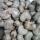 Raw Cashew Nuts  buy wholesale - company Giwaland Com. Ltd | Ghana