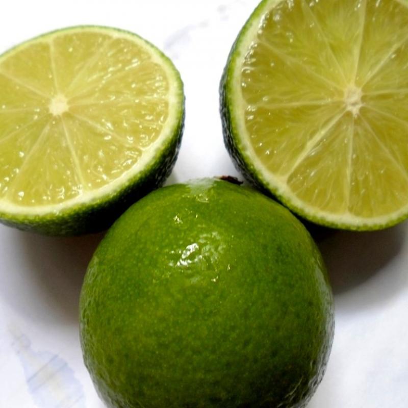 Seedless Limes buy wholesale - company Minhchauimex | Vietnam