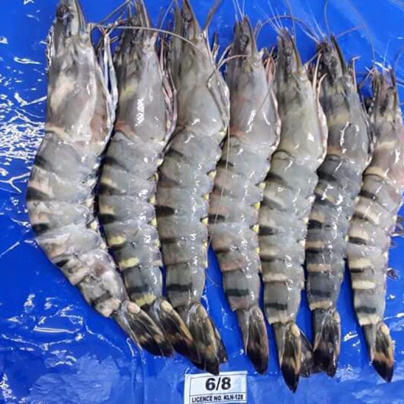 Black tiger shrimp buy wholesale - company Just United Company Limited | Bangladesh