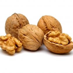 Walnuts buy on the wholesale