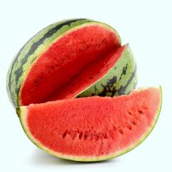 Fresh Watermelons  buy on the wholesale