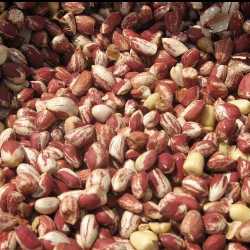 Peanuts buy wholesale - company Sunjulius Global ICT AND AGRICULTURAL PRODUCTS NIGERIA LIMITED | Nigeria