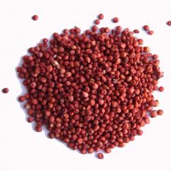 Sorghum buy on the wholesale