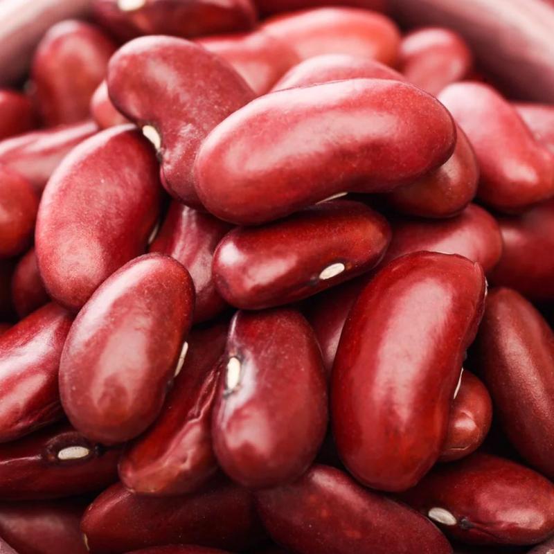 Red Beans buy wholesale - company Sunjulius Global ICT AND AGRICULTURAL PRODUCTS NIGERIA LIMITED | Nigeria